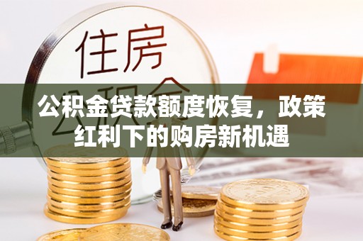 龙沙公积金贷款额度恢复，政策红利下的购房新机遇