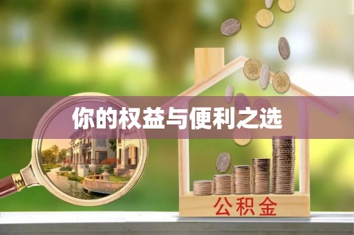 碑林你的权益与便利之选