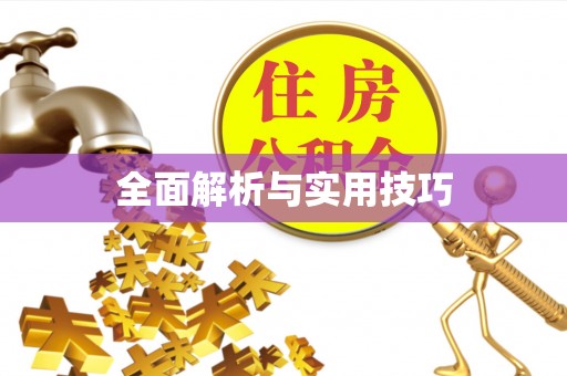 滁州全面解析与实用技巧