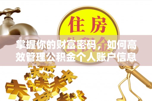 于洪掌握你的财富密码，如何高效管理公积金个人账户信息