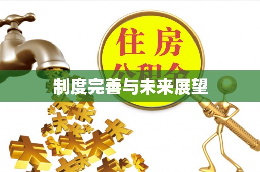 于洪制度完善与未来展望