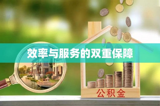 平阴效率与服务的双重保障