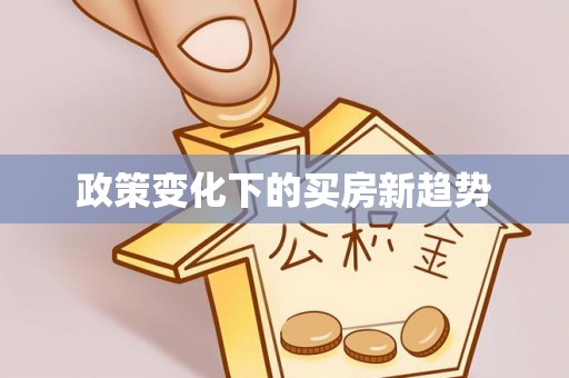 新丰政策变化下的买房新趋势