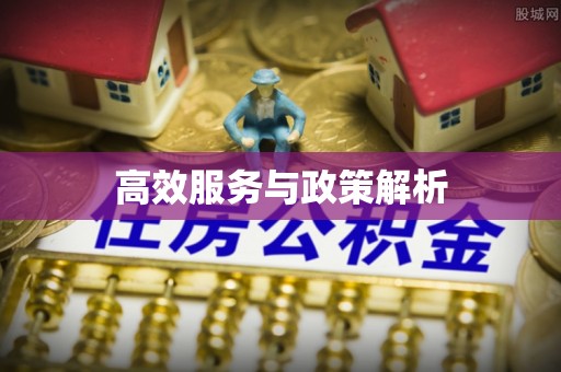 宝山高效服务与政策解析
