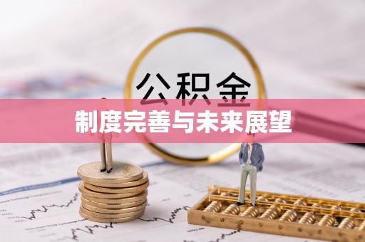 德庆制度完善与未来展望