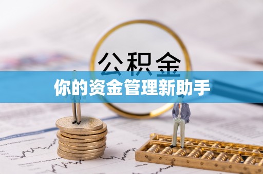 兴安盟你的资金管理新助手