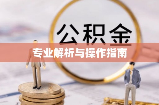 奉新专业解析与操作指南