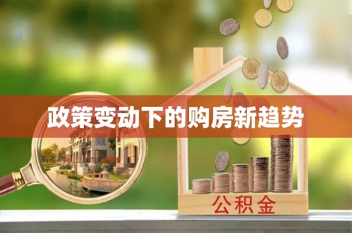 泽普政策变动下的购房新趋势