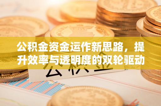 廉江公积金资金运作新思路，提升效率与透明度的双轮驱动