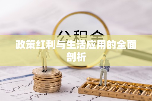 垦利政策红利与生活应用的全面剖析