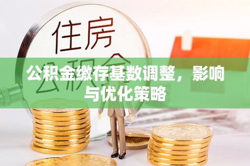 乐安公积金缴存基数调整，影响与优化策略