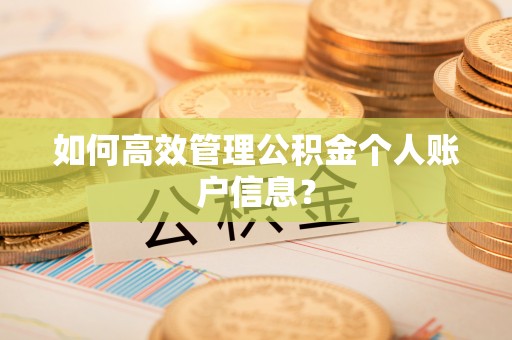 临湘如何高效管理公积金个人账户信息？