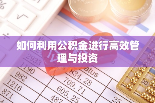 寿丰如何利用公积金进行高效管理与投资