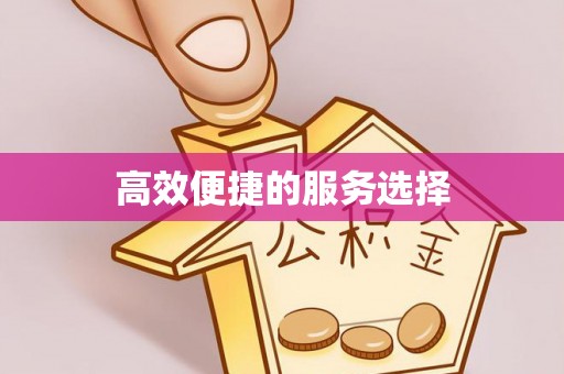 江门高效便捷的服务选择