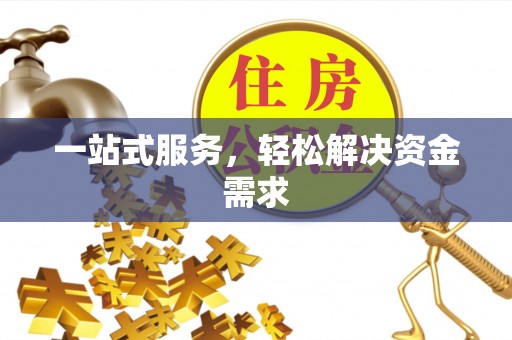 光明新区一站式服务，轻松解决资金需求