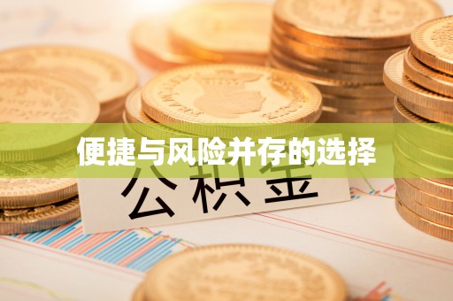 盐池便捷与风险并存的选择
