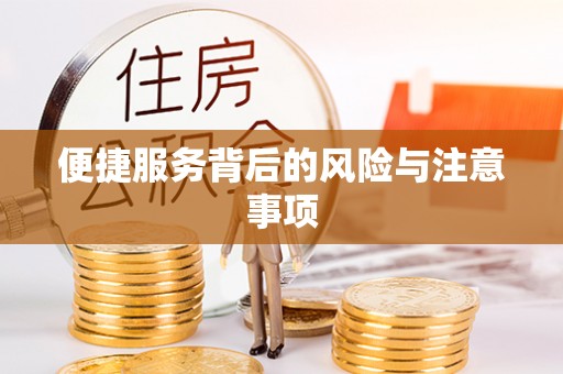 南市便捷服务背后的风险与注意事项