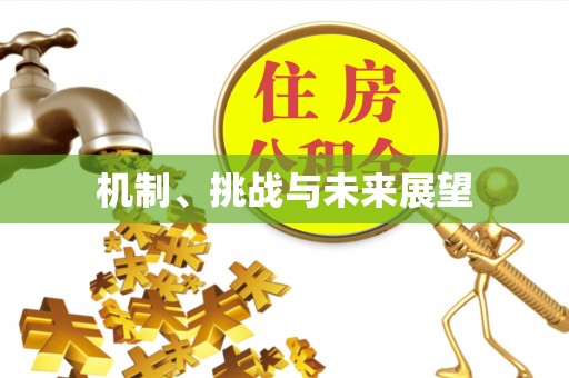 南市机制、挑战与未来展望